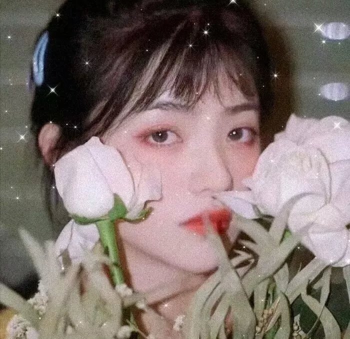 追杀大总统