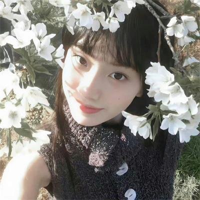 孤独的野兽